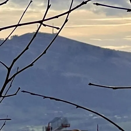 Menendez Pelayo 55 - Monabri * سانتاندر