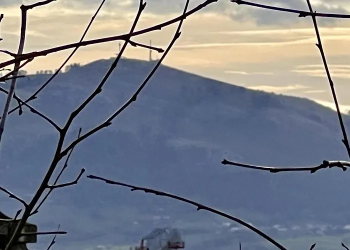 Menendez Pelayo 55 - Monabri * سانتاندر